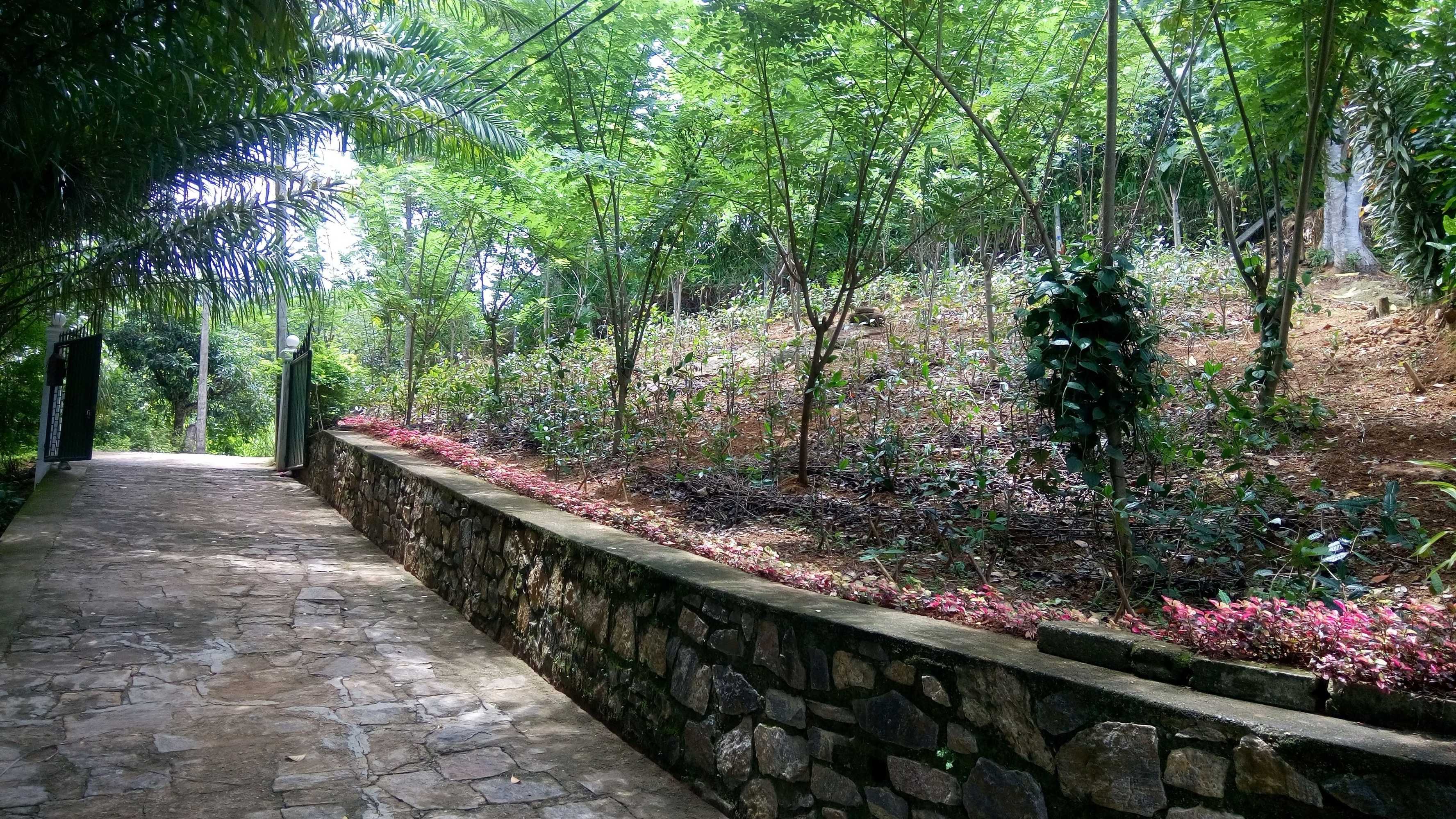 Gift card for Tea Leaf Retreat Peradeniya Gift card for Tea Leaf Retreat Peradeniya