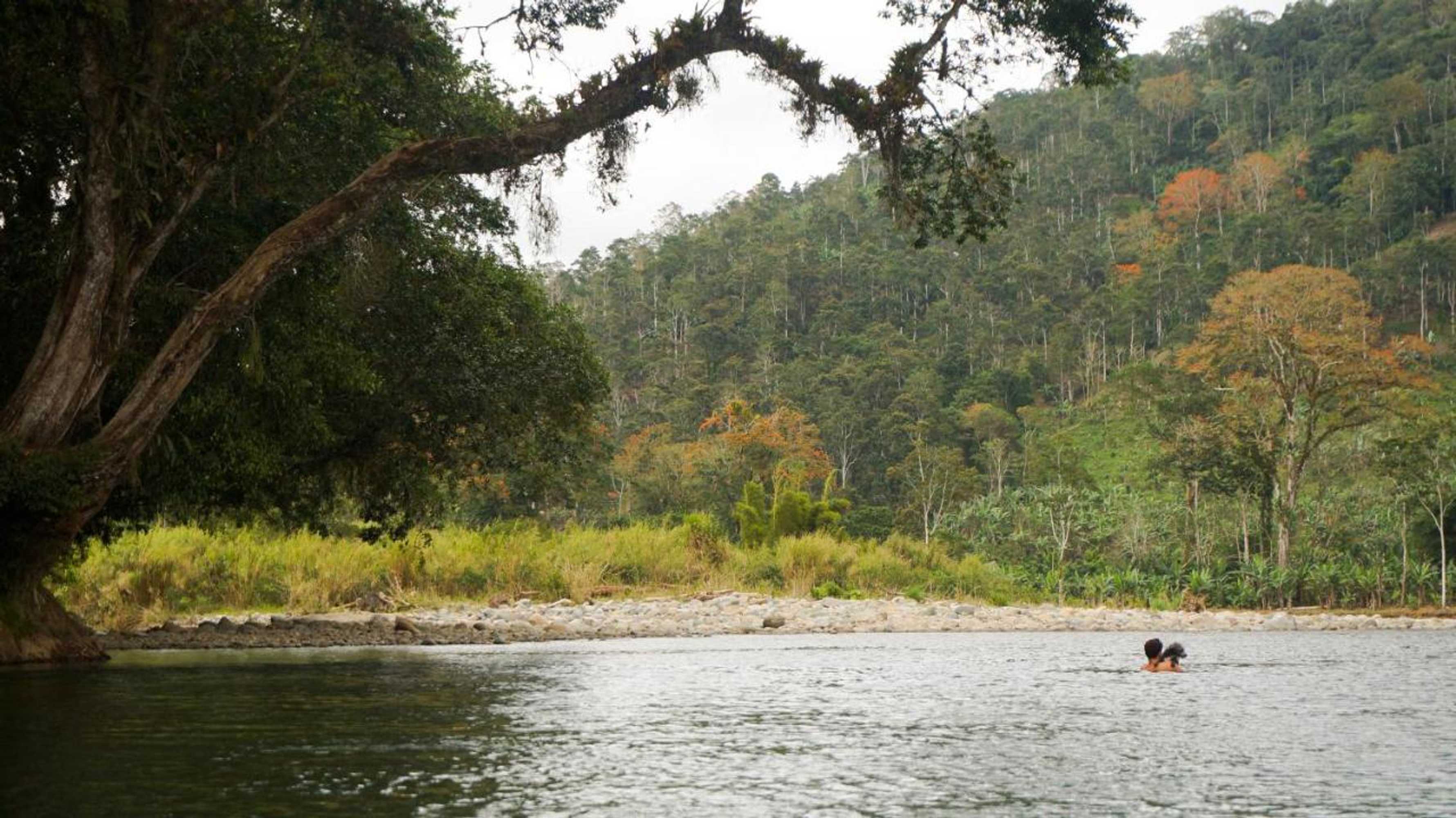 Gift card for Hospedaje La Naciente