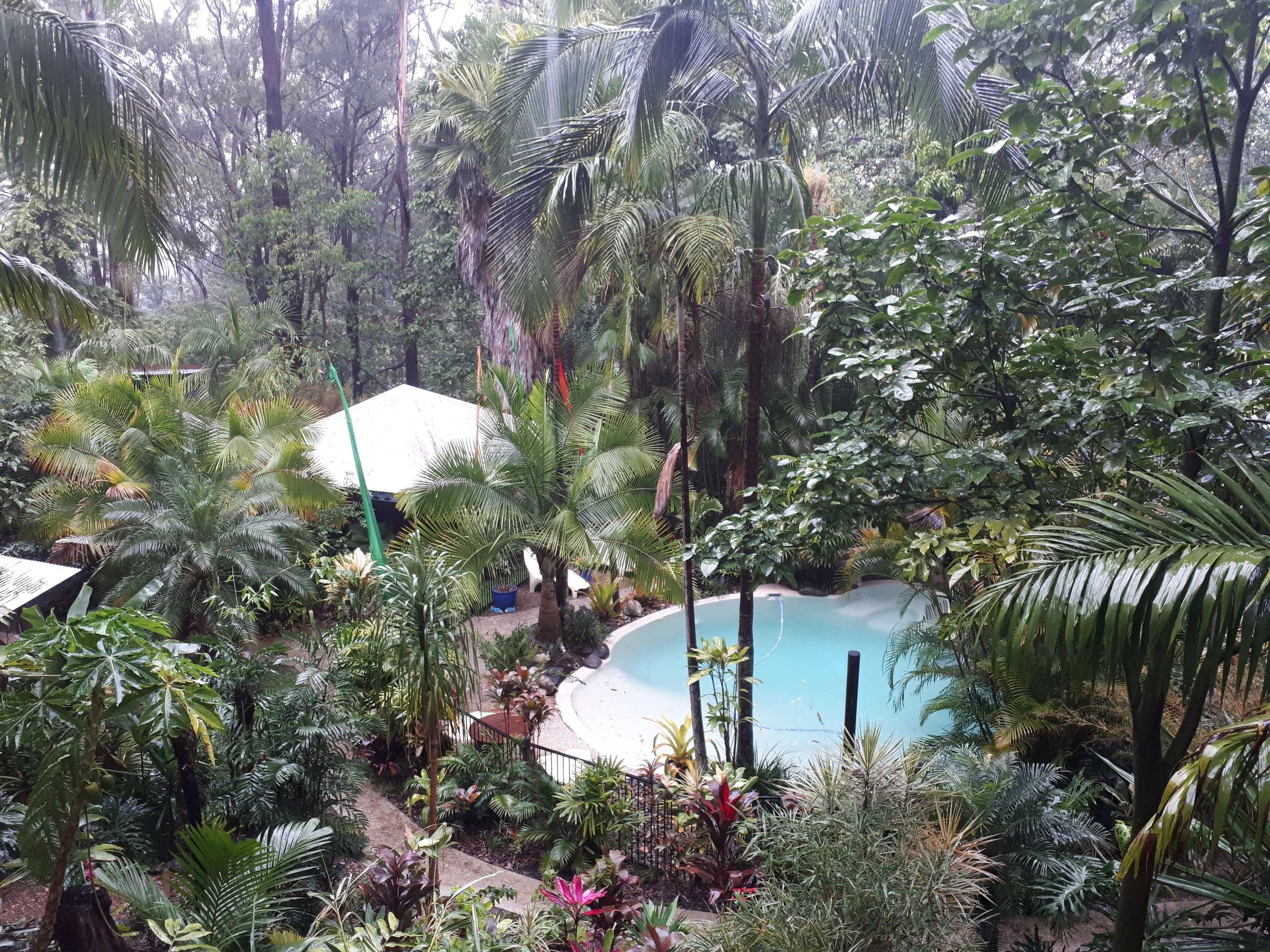 Gift card for Alaya Ascend