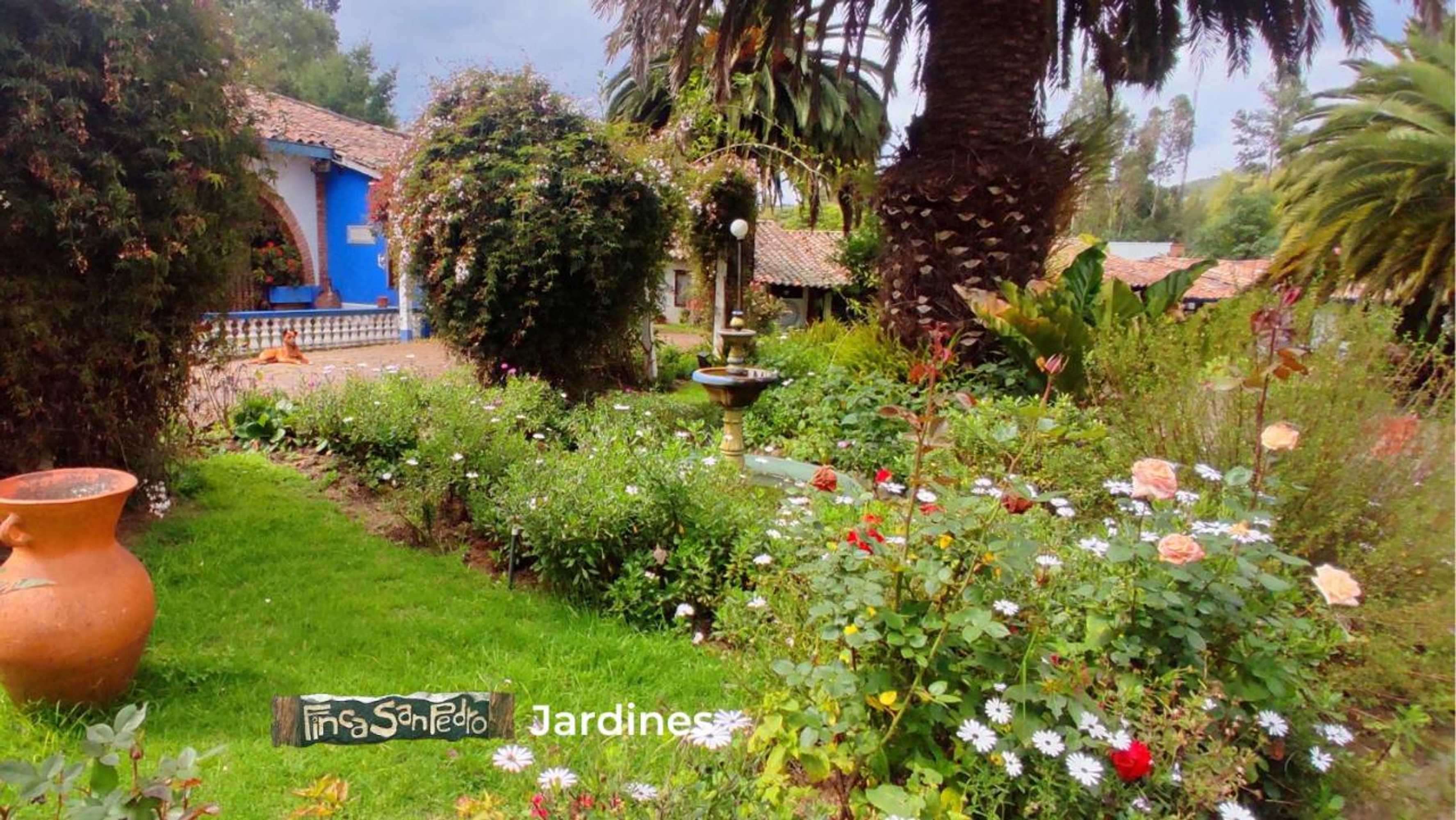 Gift card for Finca San Pedro -Alojamiento Campestre y Reserva Natural-